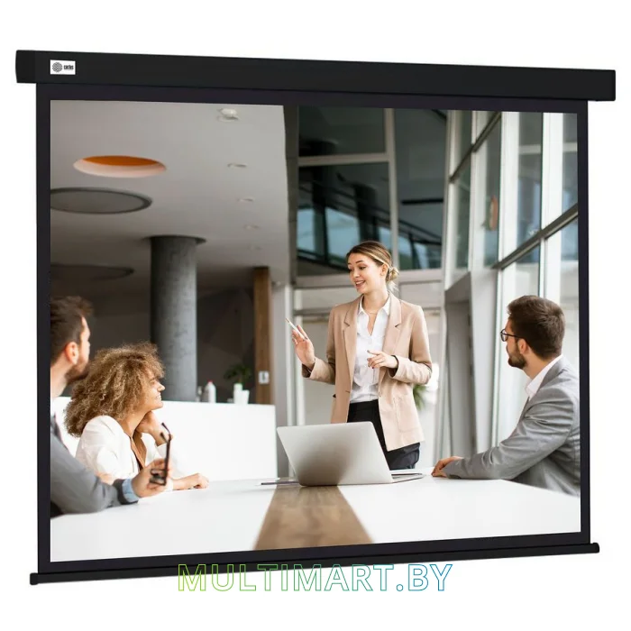Проекционный экран CACTUS Wallscreen 168x299 (CS-PSW-168X299-BK)